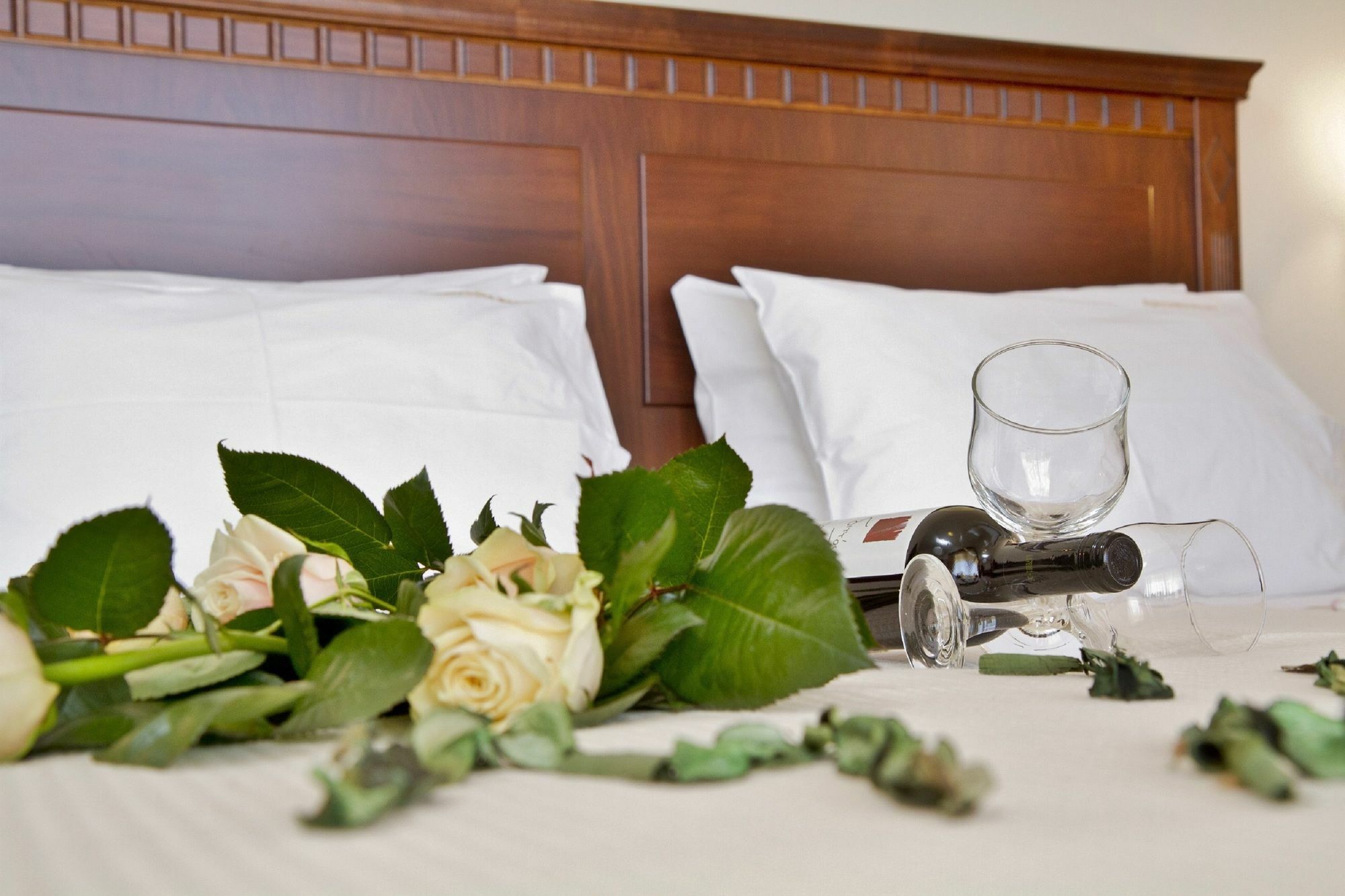 Aphrodite Apartahotel 2*